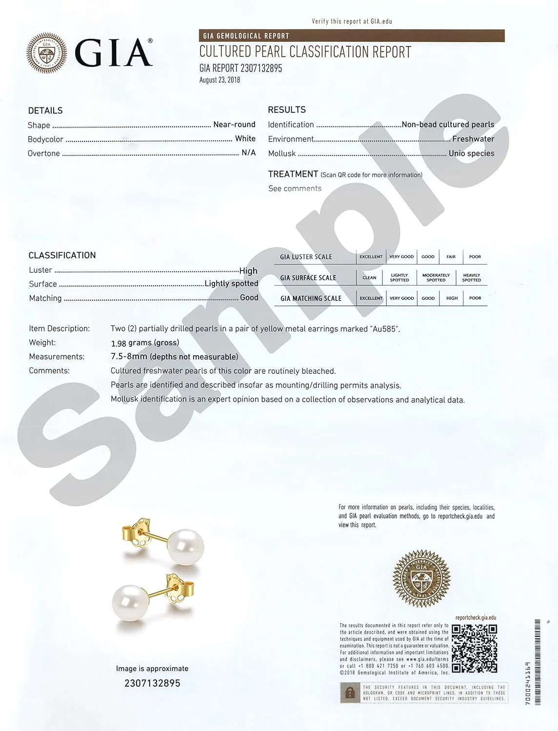 JORA 14K Gold AAA  Handpicked Round Freshwater Cultured White Pearl Stud Earrings for Women Girls